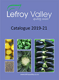 2019 - 2021 See Catalogue